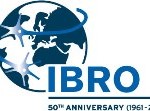 IBRO Logosu